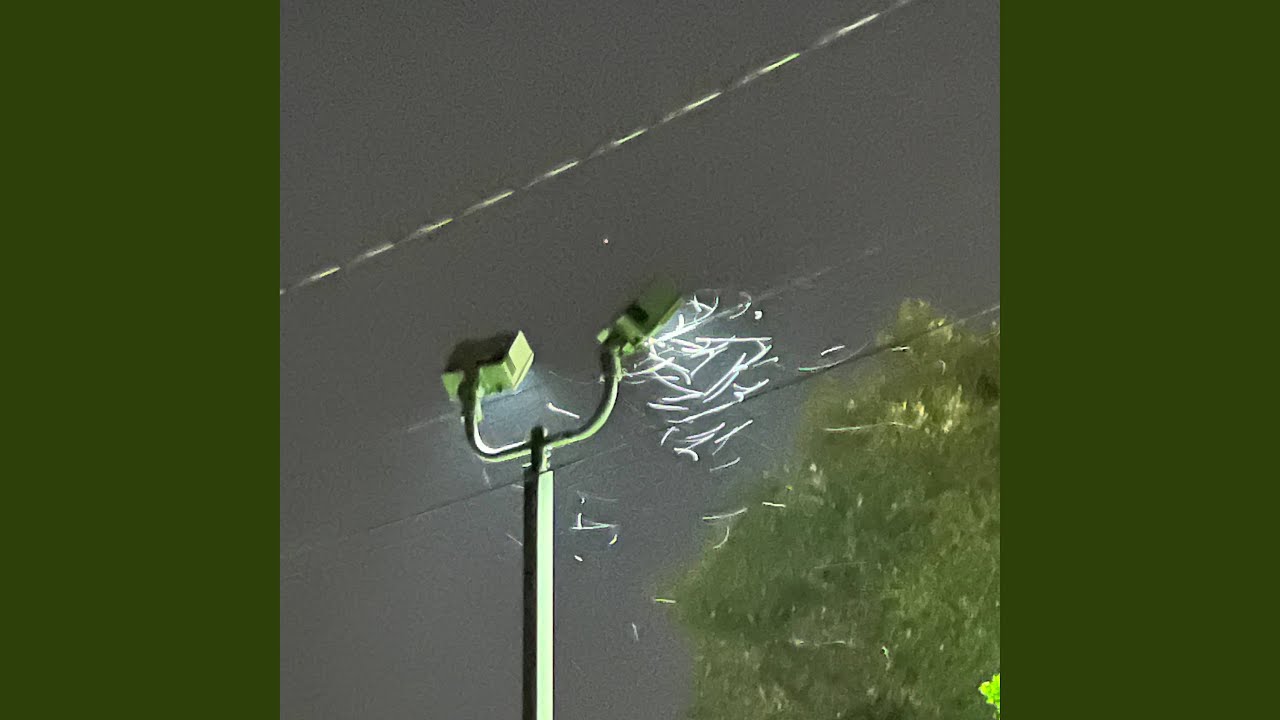 D E E P F A K E N I N E