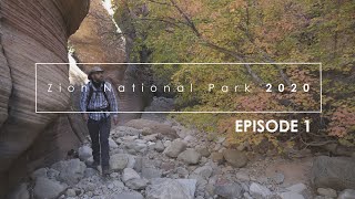 Photographing Zion Fall 2020: Episode 1