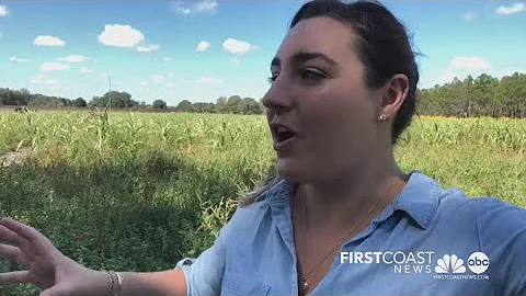 FCN's Eliza Powell gives you a sneak peek at what ...