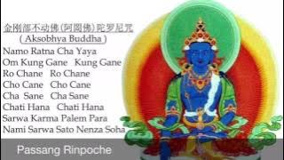 Passang Rinpoche chants Aksobhya Buddha Mantra