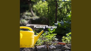 Pulsating Moods for Peaceful Rooms