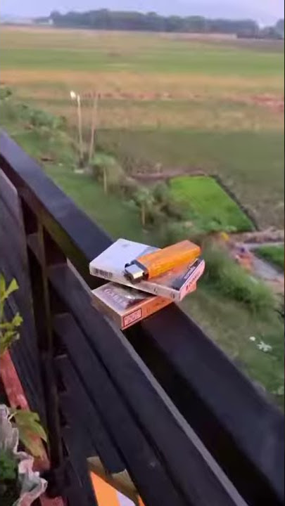 POLOSAN VIDEO PEMANDANGAN SAWAH KEREN UNTUK EDIT VIDEO