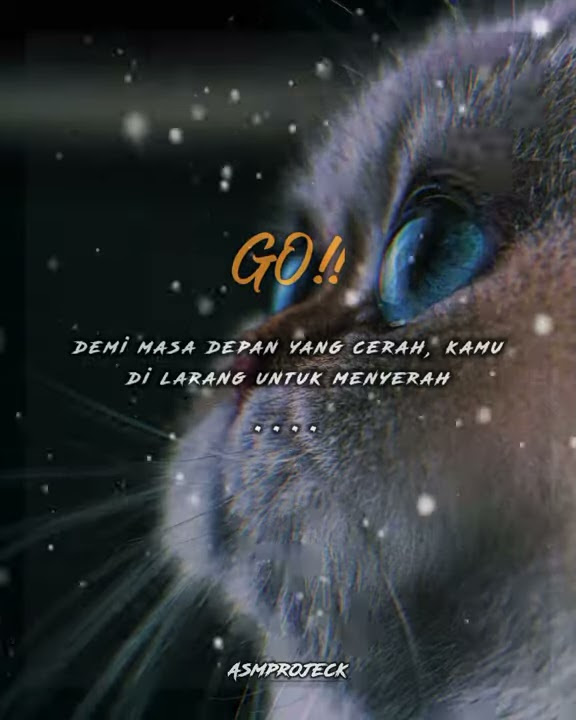 story wa 30 detik terbaru || demi masa depan 🍂