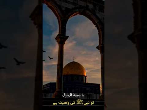 دمت يا اقصى لنا   