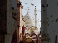 الصلاة على النبي ﷺ صوت يزلزل القلوب اللهم صلى وسلم وبارك على نبينا محمد 