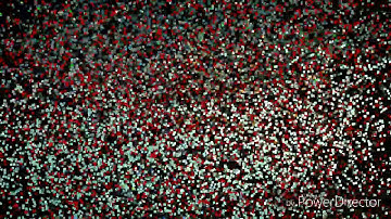 Aurcus: Twiggy vs Ikauna