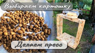 видео: ВЫБИРАЕМ КАРТОШКУ ДЕЛАЕМ ПРЕСС картинка: ВЫБИРАЕМ КАРТОШКУ ДЕЛАЕМ ПРЕСС