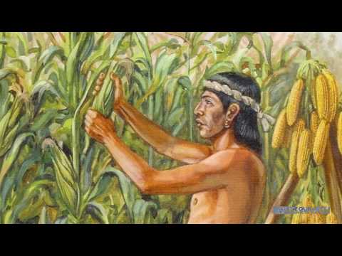 Miniatura de video: Tradiciones de los Nahuas