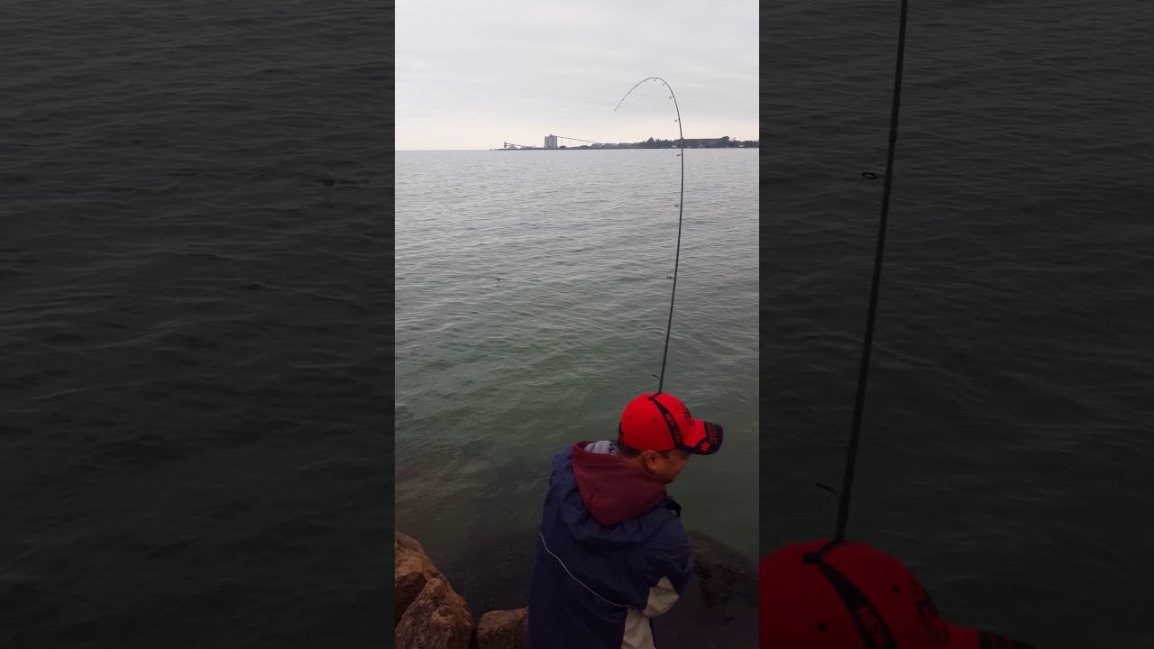 Rainbow trout fishing 