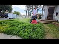 Overgrown lawn infested with clover gets a satisfying cleanup