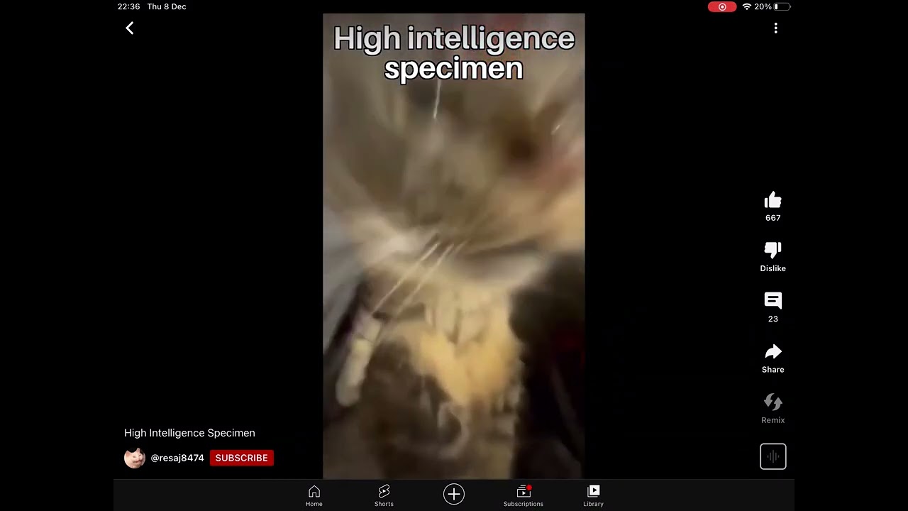 Ask me if you're a high or low intelligence specimen