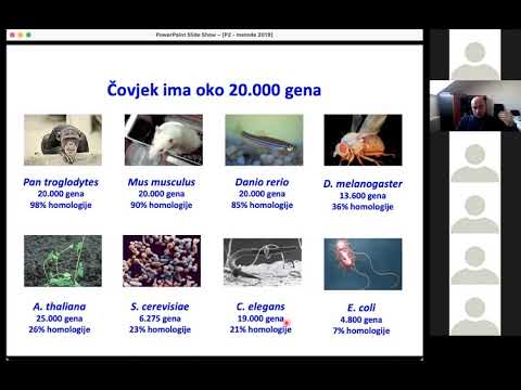 Prof Gordan Lauc:  Metode molekularne biologije