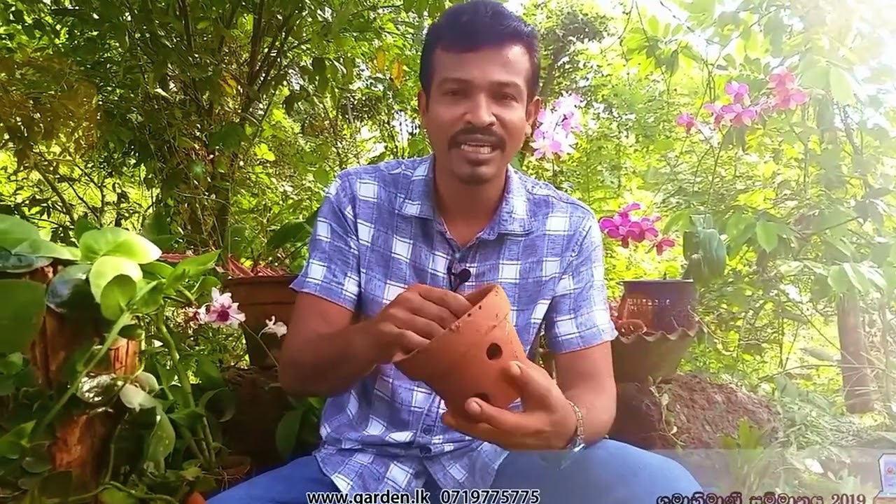 ලස්සන ඕක්‍රිඩ් මල් වලින් ලක්ෂ ගනන් උපයමු   how to