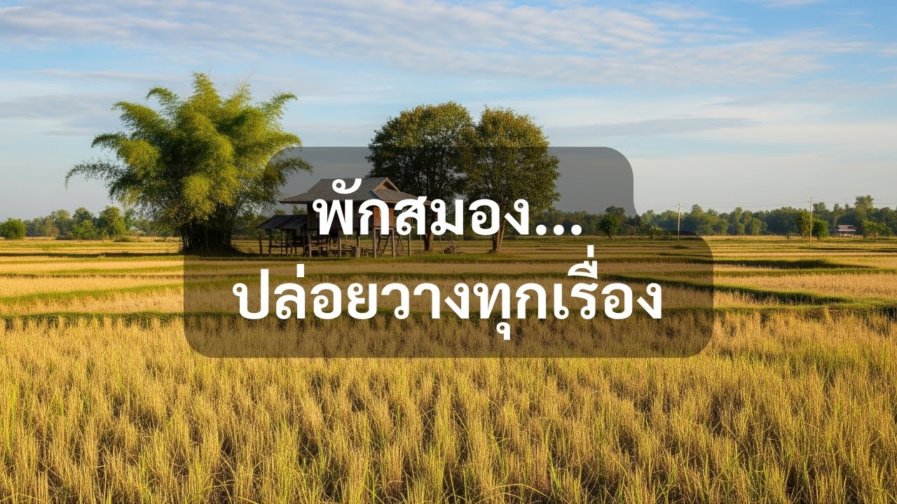 ดนตรีบำบัดสมาธิ 3 ชั่วโมง | ความเงียบสงบกลางทุ่งนา - Peaceful Instrumental Music for Focus