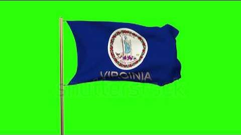 virginia flag with title waving in the wind. Looping sun rises style. Animation loop Stock video by
