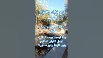 آيات بينات من الذكر الحكيم #explore #اكسبلور #sheikh #quran #تيك_توك #دويتو #المصحف #القرآن_الكريم