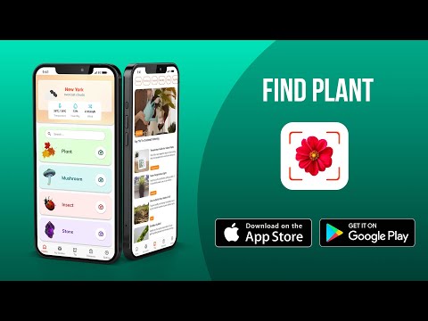 Plant App - Identifier & Care