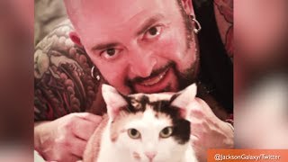 'My Cat From Hell' Host to Tame Portland 911 Cat