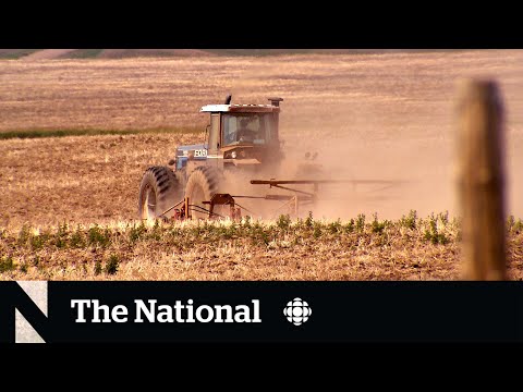 'Agricultural disaster' declared in parts of Alberta after years of drought