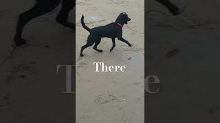 It Was Her First Time At The Beach