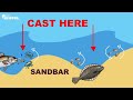 Surf fishing 101: HOW TO CATCH FISH by Reading Waves!