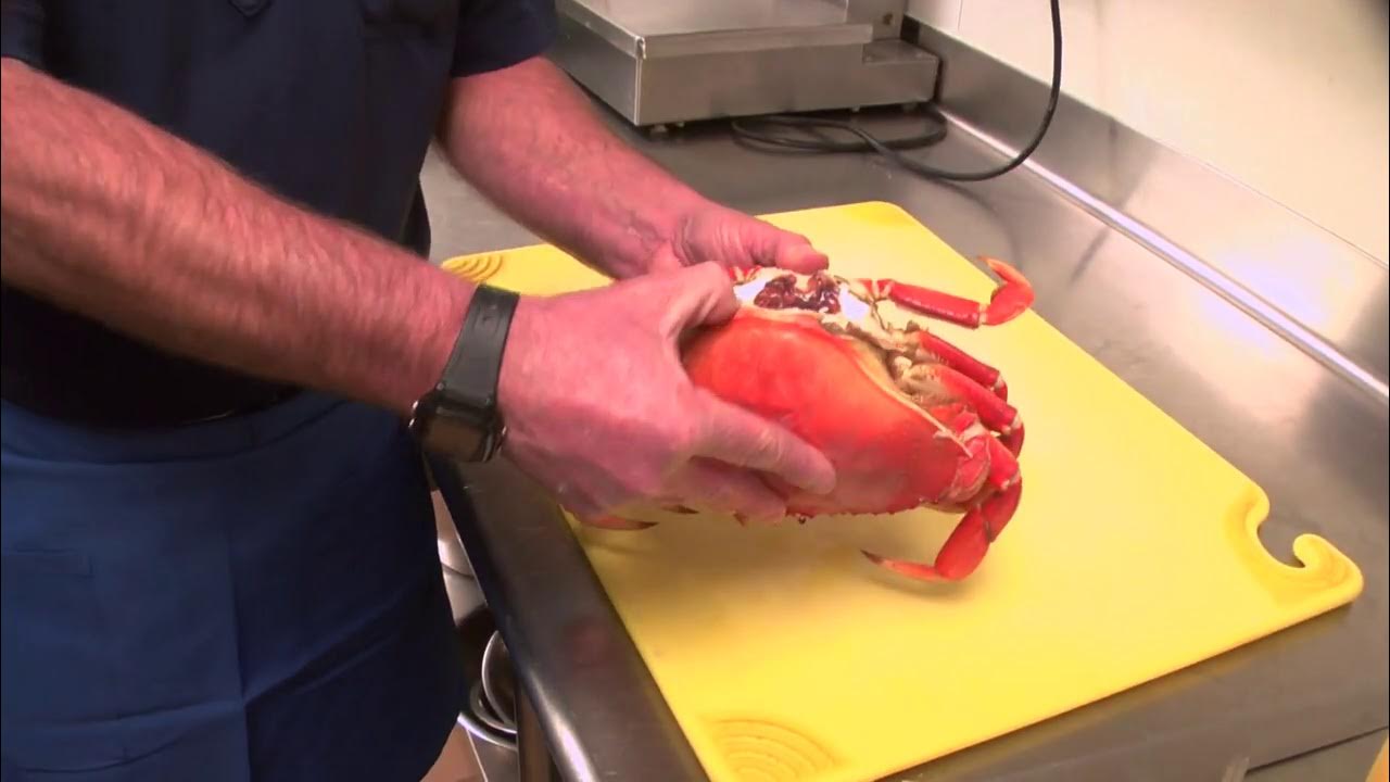 Crab Boil at Point Loma Seafoods YouTube