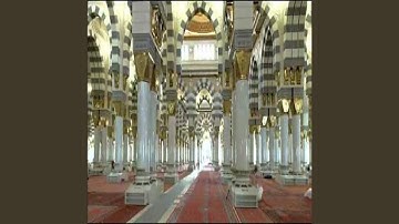 عبدالمحسن القاسم سورة الزمر