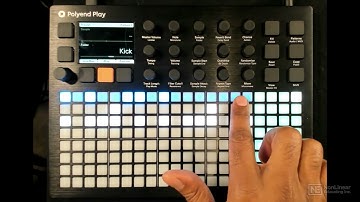 Polyend Play 101: Polyend Play Beginner