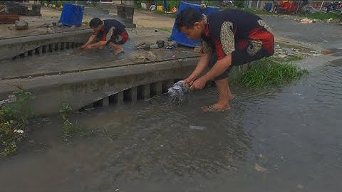 Cleaning some garbage clogged Culvert drain to free water flow faster #satisfying
