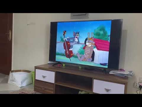 آخر انسجام مع الكارتون