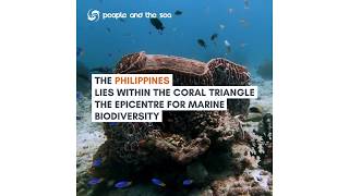 Protect Marine Life & Support Local Communities in the Philippines
