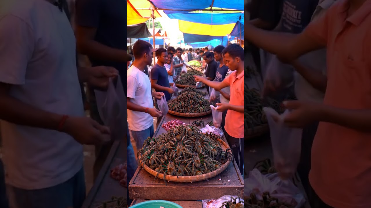 # wild animals and meats. sold in Asia market