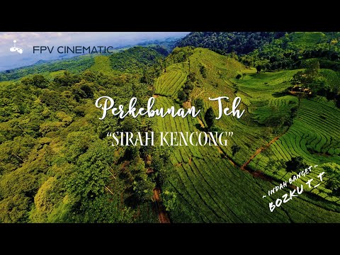 Perkebunan Teh Sirah Kencong Blitar – Fpv Drone Cinematic Video