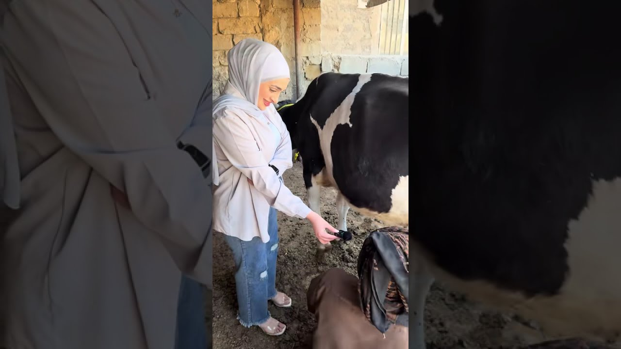 Фахрея посещает Аль-Джамасу с новым взглядом на жертвоприношение