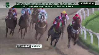 Dia: 29/02/2020 Hipodromo: Palermo Carrera: 12