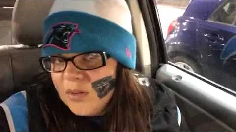 All About The Panthers!
