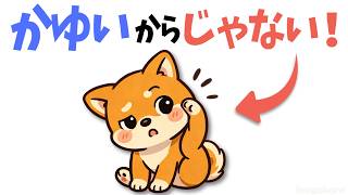 【見逃さないで】犬の「カーミングシグナル」完全解説｜これが分かれば犬語マスター