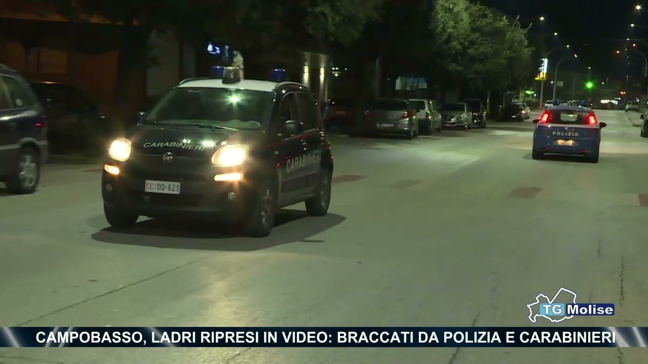 Campobasso, ladri ripresi in video: braccati da polizia e carabinieri
