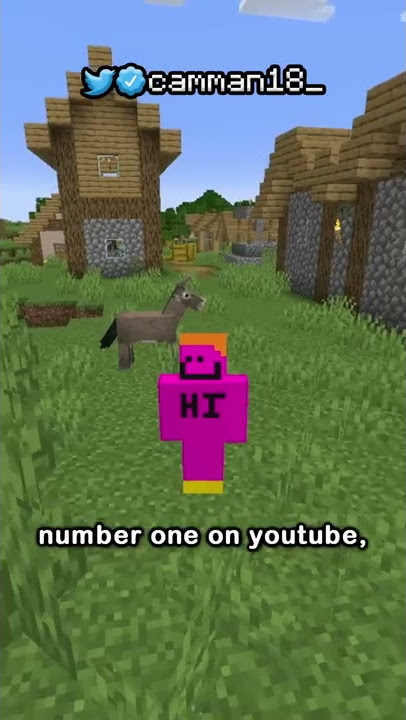 mojang... why.