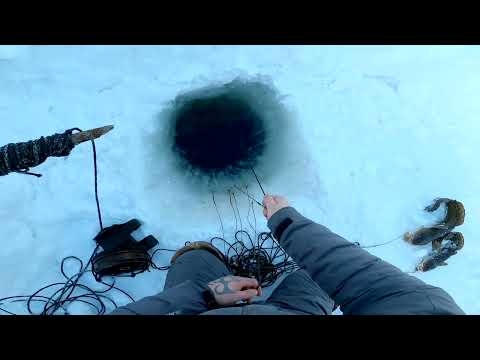Серия √43. Солнечная рыбалка на Енисее.