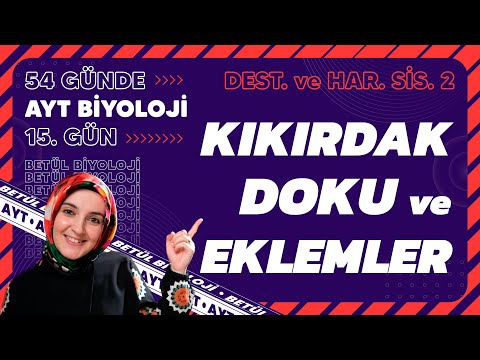 15) Kıkırdak Doku ve Eklemler | Destek ve Hareket Sistemi | 11. Sınıf | AYT Biyoloji Kampı 15. Gün