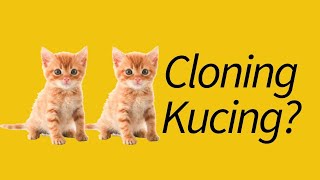 KONTROVERSIAL! Fakta Cloning pada Kucing Peliharaan by MeowCitizen 3,270 views 3 years ago 8 minutes, 12 seconds
