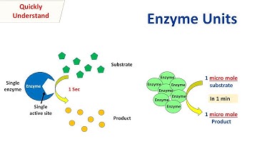 Enzyme units