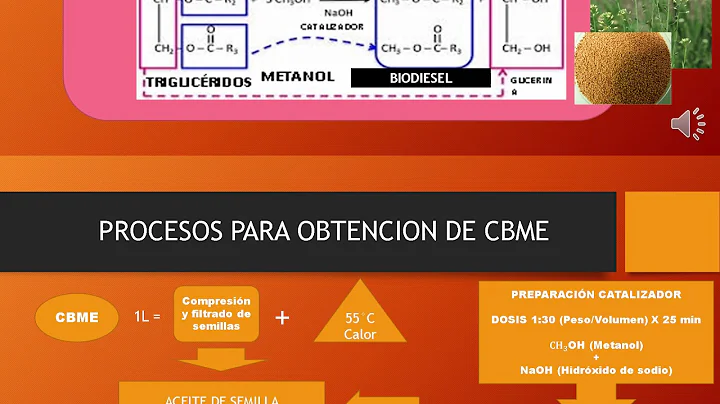 Pablo Rubiano Biodiesel 2020 video