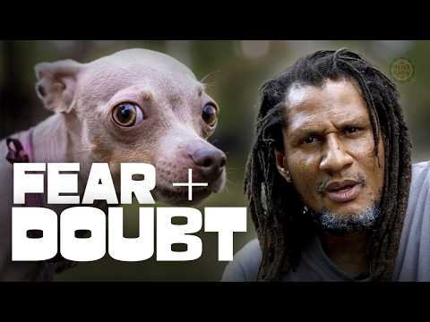 Anyone Struggling With Fear and Doubt Needs to Know This