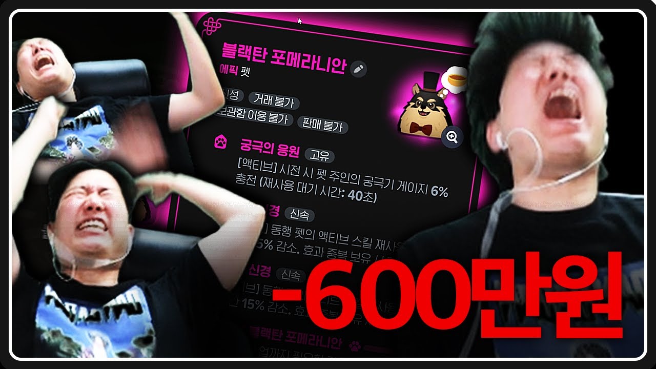 전설펫 600만원 박고 무과금 ㅋㅋㅋㅋ
