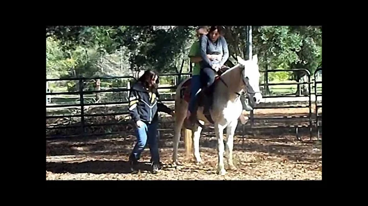 In Due Time Green Pony Ride