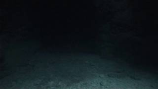 Gx010581