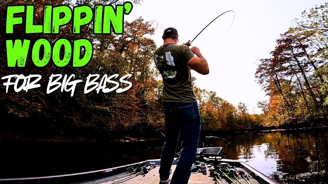 FLIPPING Shallow Cover For BIG BASS!!! || Fall Bass Fishing