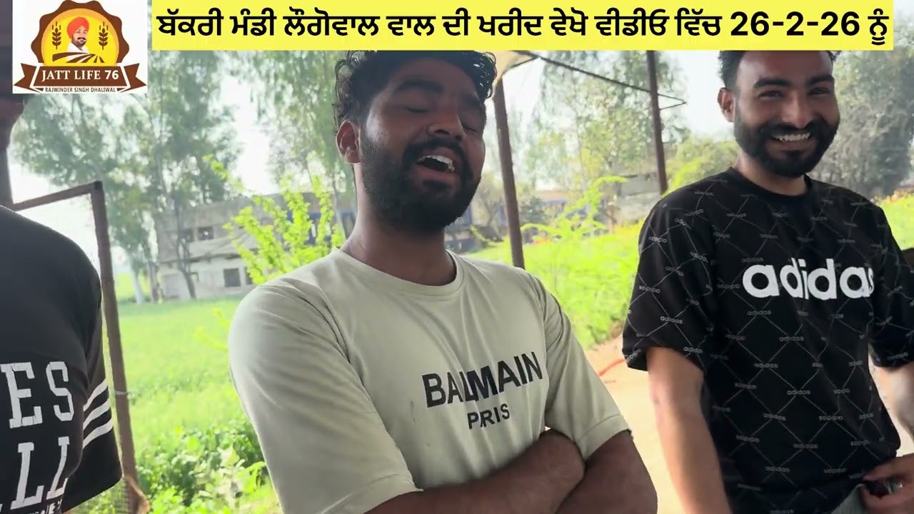 ਬੱਕਰੀ ਮੰਡੀ ਲੌਗੋਵਾਲ ਦੇ ਅਲੱਗ ਅਲੱਗ ਸੋਦੇ ਤੁਸੀਂ ਵੇਖੋ ਵੀਡੀਓ 📷 ਵਿੱਚ ਸਿਰੇ ਲੱਗਦੇ ਜਾਂ ਨਹੀਂ 